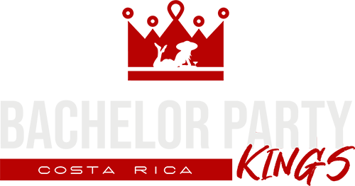 bachelorkingslogored500